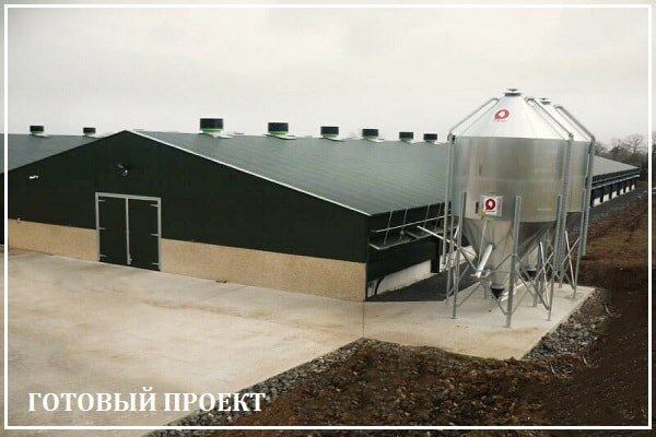 Этапы возведения птицефабрики от завода ВелесТент-нжм